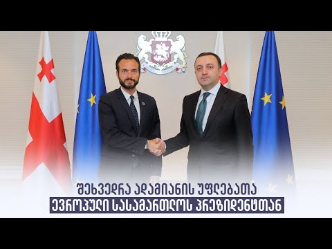 შეხვედრა ადამიანის უფლებათა ევროპული სასამართლოს პრეზიდენტთან